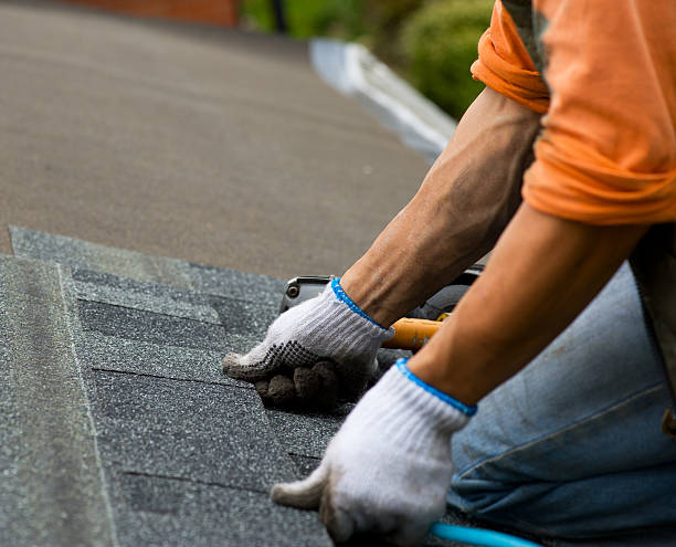 Best Roof Gutter Cleaning  in Ocean Shores, WA
